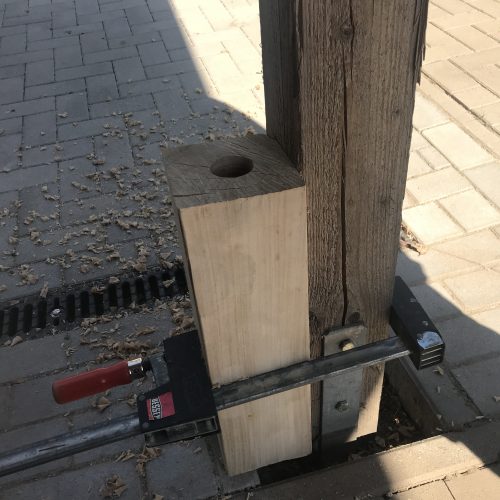 Kernbohrung Ulme