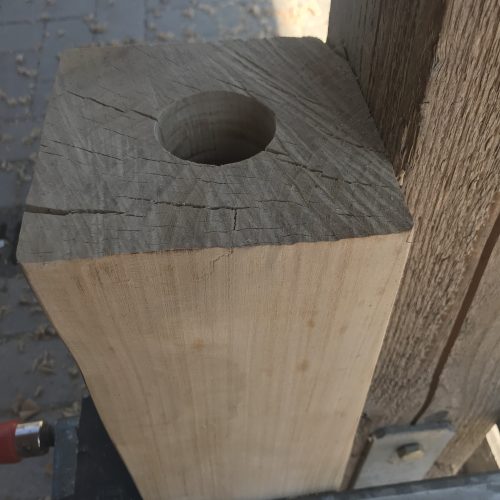 Ulme Kernbohrung